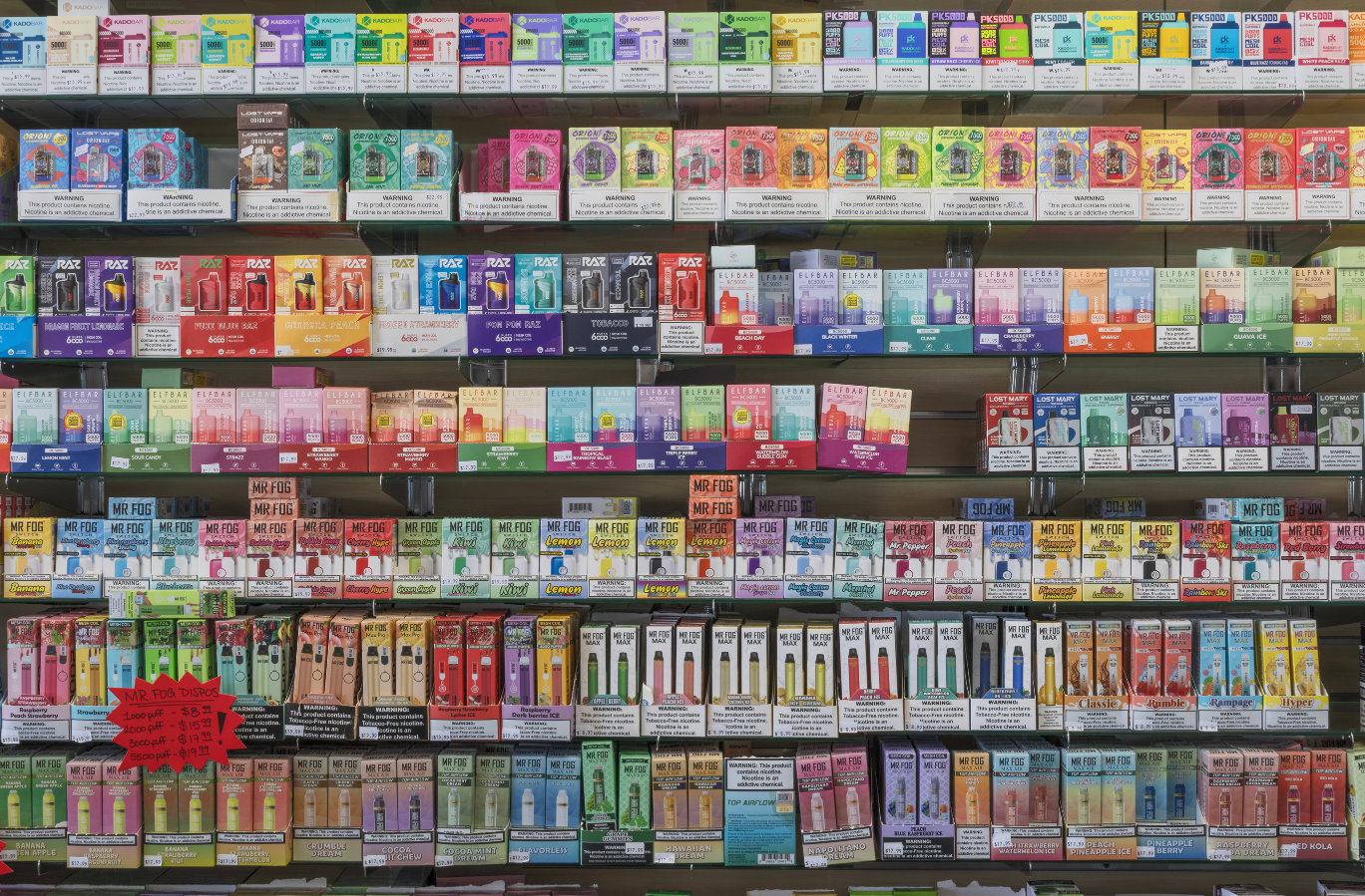 Savor the Season Top Trends in Vape Flavors | Lighter USA Savor the Season Top Trends in Vape Flavors | Lighter USA