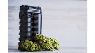 Cannabis Vaping 101: Unlocking the Basics for Beginners