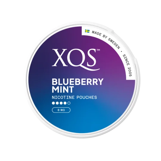 XQS Blueberry Mint 8mg Nicotine Pouches (5 Pack)