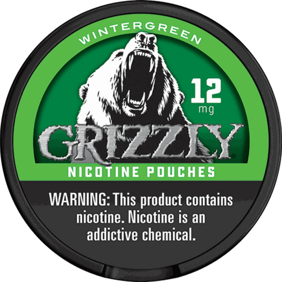 Grizzly Wintergreen Nicotine Pouches (5 Pack)