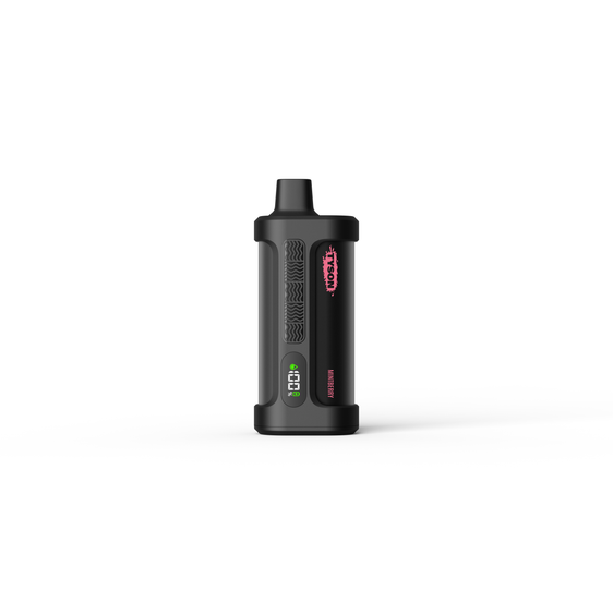 Tyson 2.0 Iron Mike 15000 Puffs Disposable Vape - Mintberry