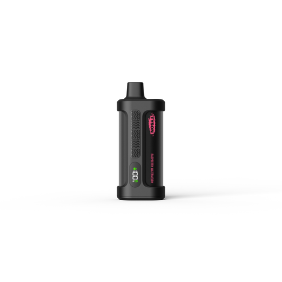 Tyson 2.0 Iron Mike 15000 Puffs Disposable Vape - Raspberry Watermelon