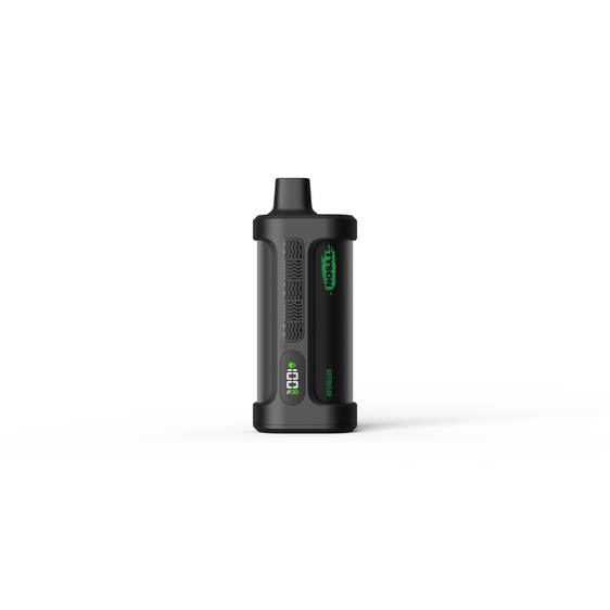 Tyson 2.0 Iron Mike 15000 Puffs Disposable Vape - Watermelon