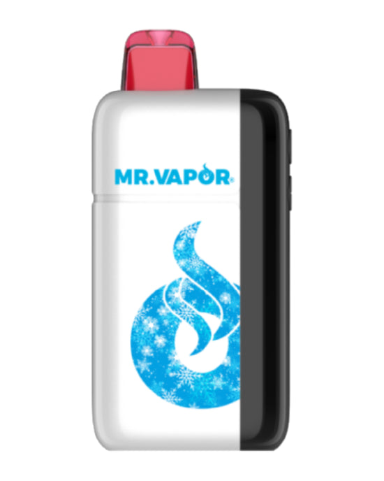 Mr. Vapor Arctic - 30,000 Puff Disposable Vape