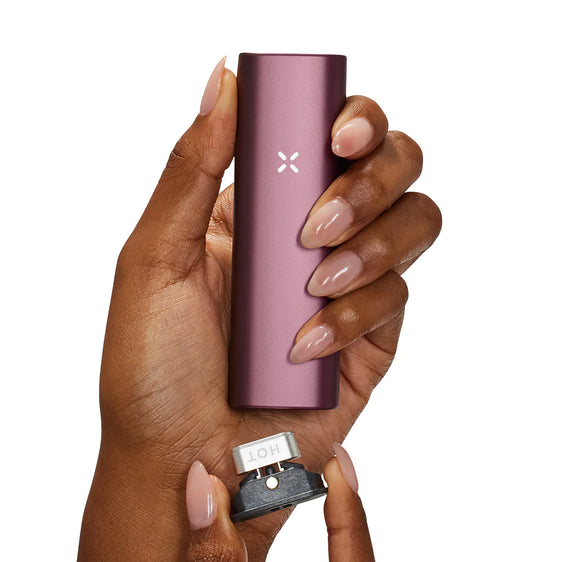 PAX Plus - Dual Use Vaporizer - Starter Kit / Elderberry