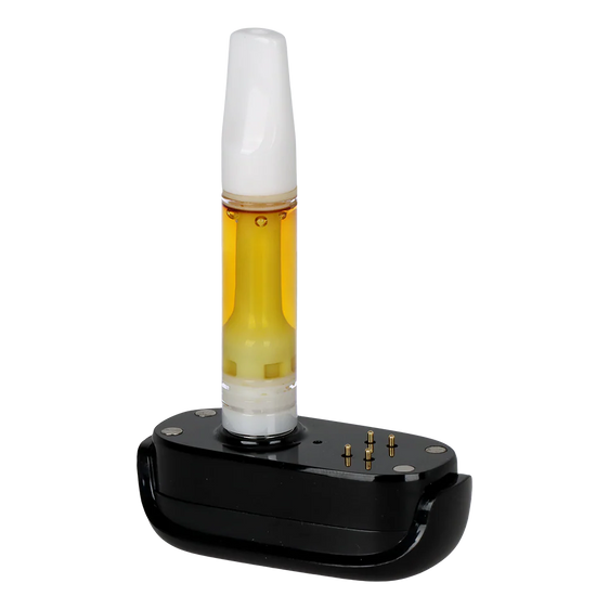 Pulsar DL 6.0 - Bottom Magnetic Connector