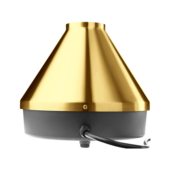 Gold Edition (20 Year Anniversary)