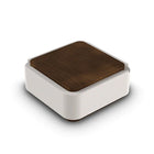 Ashton Ashtray - White