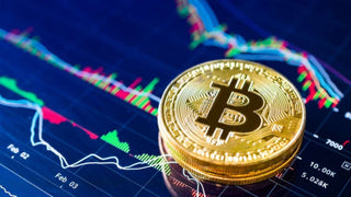 Lighter USA is Going Crypto!