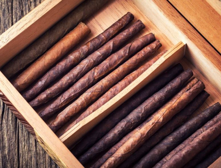 Does Your Humidor Have an Odor?