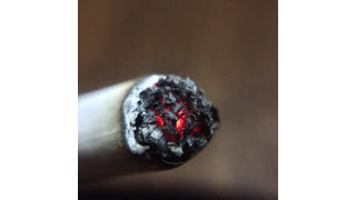 Cigars 101