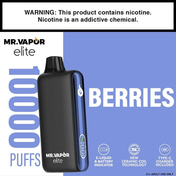 Mr. Vapor Elite - Disposable Vape - Lighter USA