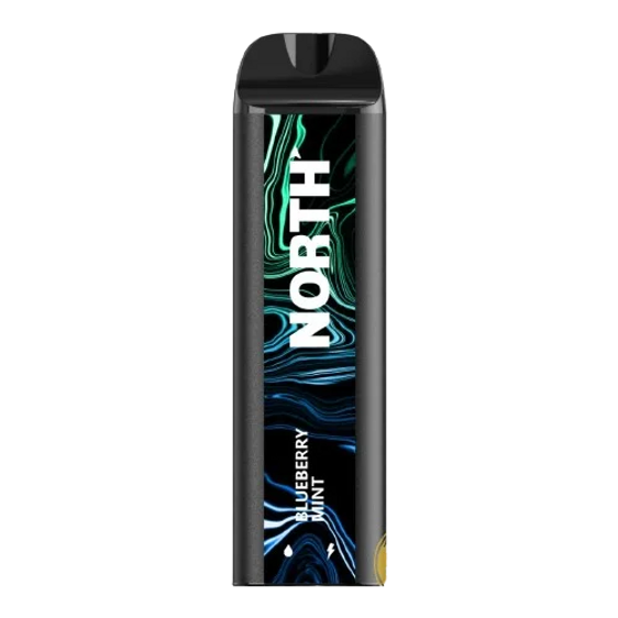 
North Disposable Vape - 5000 Puffs - Blueberry Mint