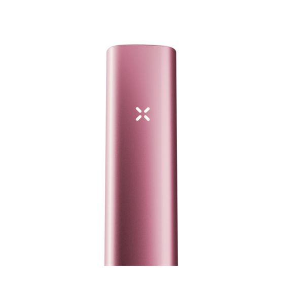 pax 3 mini Fox - Christmas edition RAZ. Socks included!! Watermelon Ice and Peppermint  Candy Cane main image 0