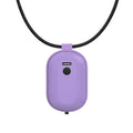 Gamer Battery by Hamilton Devices  Lighter USA Purple  