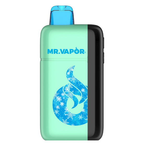 
Mr. Vapor Arctic - 30,000 Puff Disposable Vape - Winter Green